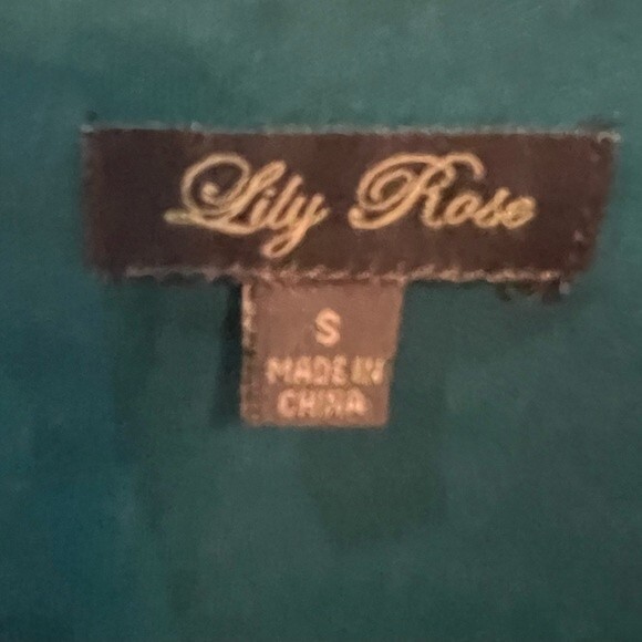 Lily Rose shadow striped teal green belted dress size small - Picture 7 of 8